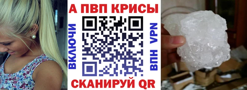 A PVP СК  Зеленогорск 