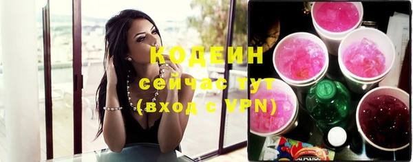 скорость Гусев