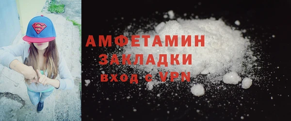 прущие грибы Горнозаводск