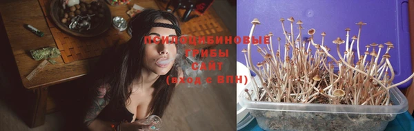 скорость Гусев