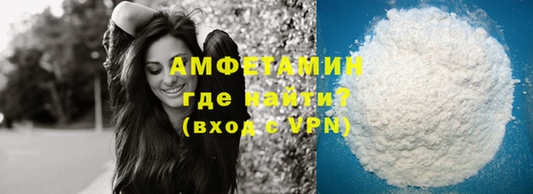 прущие грибы Горнозаводск