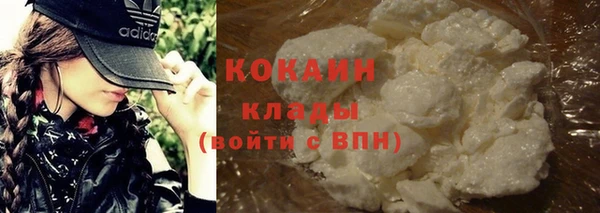 прущие грибы Горнозаводск